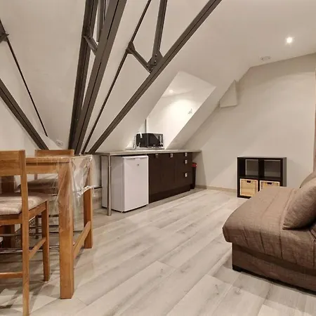 Magnifique Studio En Centre Ville V11